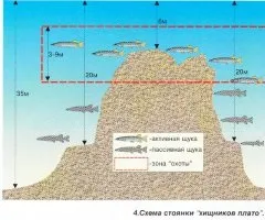 Кращі місця для лову великої щуки (щука) Кращі місця для лову великої щуки