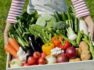 Місячний посівний календар 2017 для садівника і городника (садівника) Місячний посівний календар 2017 для садівника і городника