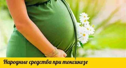 Кращі народні засоби від токсикозу при вагітності (вагітності) Кращі народні засоби від токсикозу при вагітності