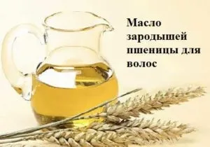 Масло зародків пшениці для волосся корисні властивості і застосування