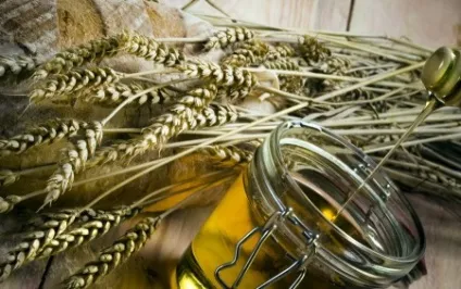 Масло зародків пшениці для обличчя відгуки про застосування маски з пшеничних паростків від зморшок (відгуки) Масло зародків пшениці для обличчя відгуки про застосування маски з пшеничних паростків від зморшок