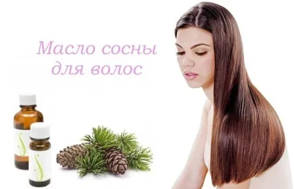 Масло сосни для волосся застосування, маски та відгуки (волосся) Масло сосни для волосся застосування, маски та відгуки