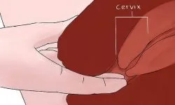 Менструальні спазми причини появи болів, ознаки патології (менструальні) Менструальні спазми причини появи болів, ознаки патології