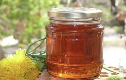Мед з кульбаб, рецепти