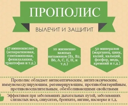 Мед з прополісом - корисні властивості і протипоказання (прополісом) Мед з прополісом - корисні властивості і протипоказання