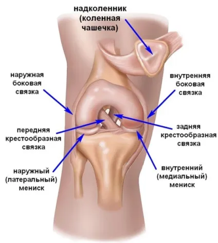 Мазь при розтягуванні зв'язок, яка краще (розтягуванні) Мазь при розтягуванні зв'язок, яка краще