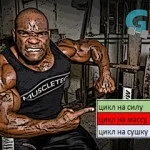 М'язове почуття в бодібілдингу, gym muscle (почуття) М'язове почуття в бодібілдингу, gym muscle