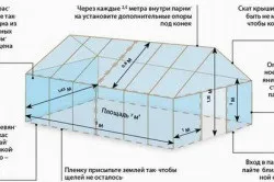 Монтаж теплиці з полікарбонату інструкція установки (теплиці) Монтаж теплиці з полікарбонату інструкція установки