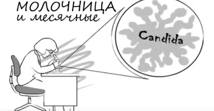 Молочниця перед місячними причина, прояви, лікування