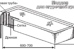 Мульчування огірків в теплиці або парнику (парнику) Мульчування огірків в теплиці або парнику