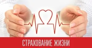 Шахрайство при оформленні кредиту в 2017 році способи, стаття, куди звертатися (кредиту) Шахрайство при оформленні кредиту в 2017 році способи, стаття, куди звертатися