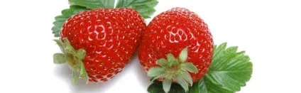 Чи можна мамі, що годує полуницю, уроки для мам (годує) Чи можна мамі, що годує полуницю, уроки для мам