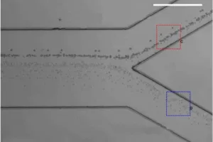 Нанотехнології nanonewsnet, сайт про нанотехнології # 1 вУкаіни (Керівникам «Відкритих написав Комаров) Нанотехнології nanonewsnet, сайт про нанотехнології # 1 вУкаіни
