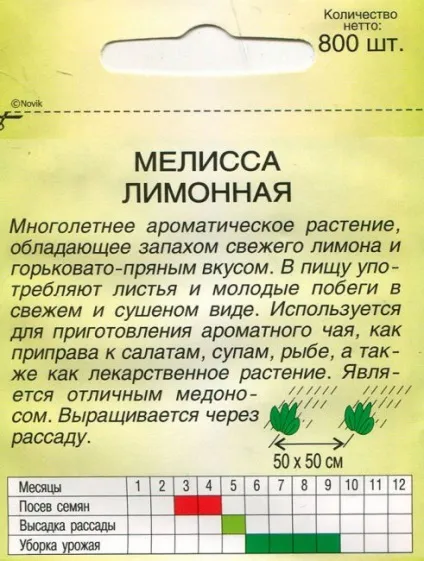 М'ята лимонна фото і опис, вирощування і догляд в теплиці - eтепліца (лимонна) М'ята лимонна фото і опис, вирощування і догляд в теплиці - eтепліца