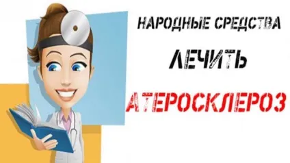 Народні рецепти як використовувати амарант для лікування різних хвороб (народні) Народні рецепти як використовувати амарант для лікування різних хвороб