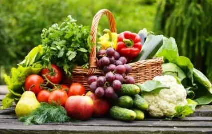 Настій тютюну, лікування, добриво і рецепти настоянок (рецепти) Настій тютюну, лікування, добриво і рецепти настоянок