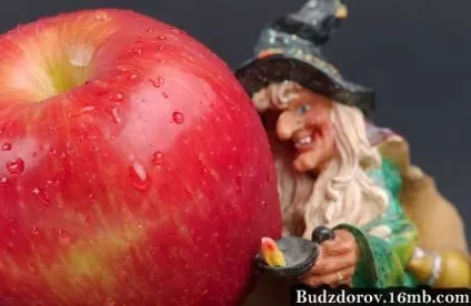 Наукове визначення ГМО