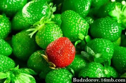 Наукове визначення ГМО