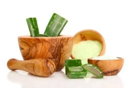 Настоянка з алое властивості і застосування (алое меду горілки) Настоянка з алое властивості і застосування