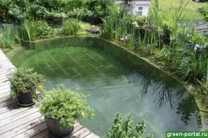 Натуральний басейн живий водойму на дачі - ландшафтний дизайн своїми руками (біобассейн) Натуральний басейн живий водойму на дачі - ландшафтний дизайн своїми руками