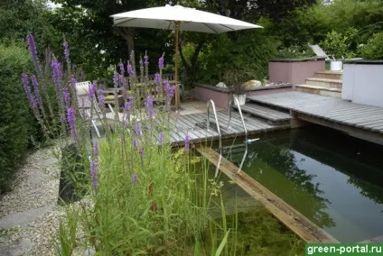 Натуральний басейн живий водойму на дачі - ландшафтний дизайн своїми руками (басейн) Натуральний басейн живий водойму на дачі - ландшафтний дизайн своїми руками