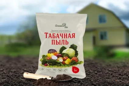 Настій тютюну для городу від шкідників (настій) Настій тютюну для городу від шкідників