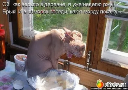 Наташка поставила бабусю в глухий кут, приїхавши до неї вже товстої худнемо зі сміхом групи (смішні картинки) Наташка поставила бабусю в глухий кут, приїхавши до неї вже товстої худнемо зі сміхом групи