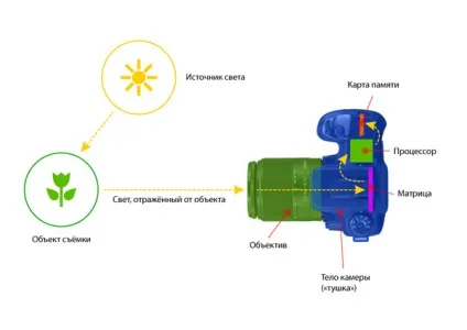 Натюрморт і теорія світла