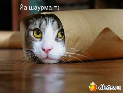Наташка поставила бабусю в глухий кут, приїхавши до неї вже товстої худнемо зі сміхом групи (гумор) Наташка поставила бабусю в глухий кут, приїхавши до неї вже товстої худнемо зі сміхом групи