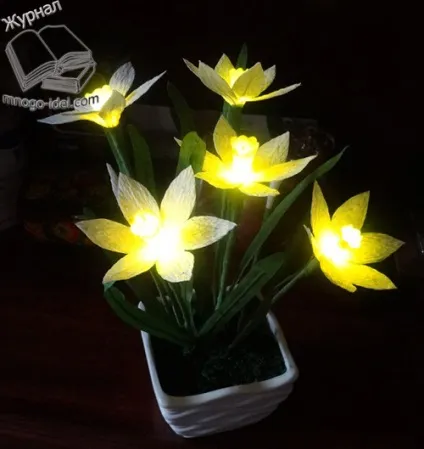 Нарциси з паперу, квіти з кришталевої паперу (квіти) Нарциси з паперу, квіти з кришталевої паперу