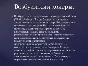Бактерії - збудники захворювань інфекційних, кишкових, респіраторних (інфекційних) Бактерії - збудники захворювань інфекційних, кишкових, респіраторних
