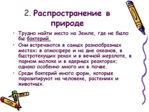 Бактерії - збудники захворювань інфекційних, кишкових, респіраторних (бактерії) Бактерії - збудники захворювань інфекційних, кишкових, респіраторних