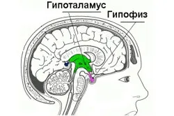 Недолік тестостерону у чоловіків ознаки зниження гормону, лікування (зниження) Недолік тестостерону у чоловіків ознаки зниження гормону, лікування
