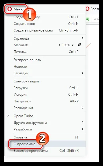 Чи не оновлюється флеш плеєр (свіжа) Чи не оновлюється флеш плеєр