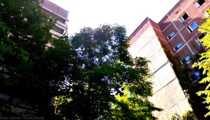 Нелегально в Прип'ять 2 (Прип'ять) Нелегально в Прип'ять 2