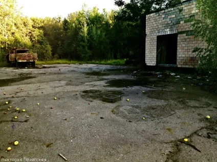 Нелегально в Прип'ять 2 (нелегально) Нелегально в Прип'ять 2