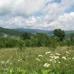 Нижня Хобзей відпочинок, нижня Хобзей пляж, нижня Хобзей фото, нижня Хобзей море, відпочинок нижня Хобзей, (пляж) Нижня Хобзей відпочинок, нижня Хобзей пляж, нижня Хобзей фото, нижня Хобзей море, відпочинок нижня Хобзей,