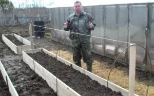 Нігелла або чорний кмин, зелений сад