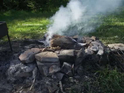 Ніжний шашлик з телятини, готуємо душевно (телятини) Ніжний шашлик з телятини, готуємо душевно