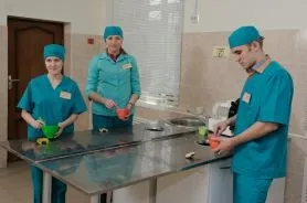 навчання інвалідів