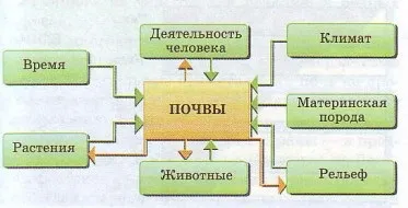 Освіта грунтів та їх різноманітність (рельєф) Освіта грунтів та їх різноманітність