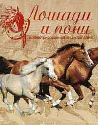 Про що думає кінь і як навчитися її розуміти, автор з (розуміти) Про що думає кінь і як навчитися її розуміти, автор з