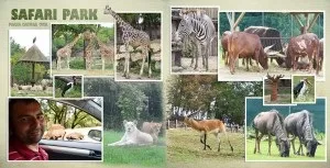 Оформлення фотокниги, ласкаво просимо в світ фотокниг!