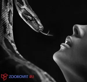 Офідіофобія - страх перед зміями, портал про психологію і медицину (психології) Офідіофобія - страх перед зміями, портал про психологію і медицину