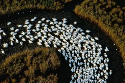 Одна з найбільших річок світу, річка Міссісіпі (світу) Одна з найбільших річок світу, річка Міссісіпі