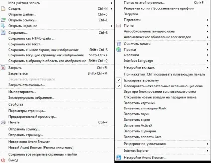 Огляд браузера avant browser