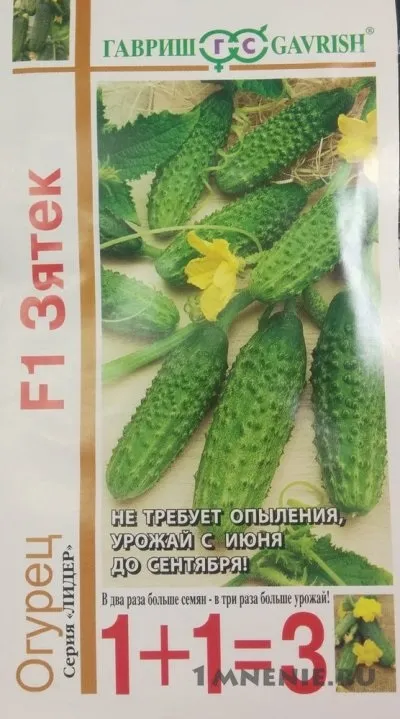 Огірки зятек f1 відгуки, зятек і теща - відмінна парочка сортів (відгуки про компанії) Огірки зятек f1 відгуки, зятек і теща - відмінна парочка сортів