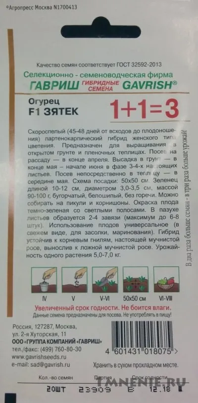 Огірки зятек f1 відгуки, зятек і теща - відмінна парочка сортів (кредитні карти) Огірки зятек f1 відгуки, зятек і теща - відмінна парочка сортів