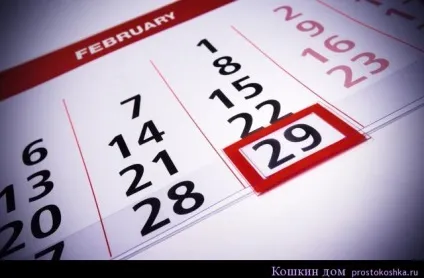Небезпеки високосного року - що не можна робити в 2016 році, котячий будинок (високосного) Небезпеки високосного року - що не можна робити в 2016 році, котячий будинок