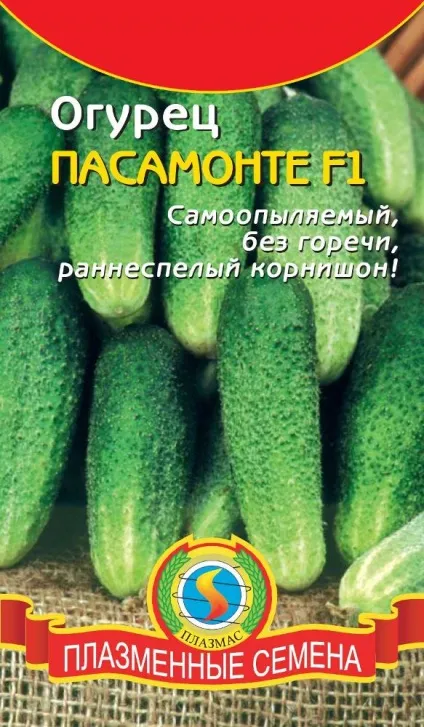 Огірок Пасамонте f1 опис і характеристика сорту, догляд, вирощування та відгуки (вирощування) Огірок Пасамонте f1 опис і характеристика сорту, догляд, вирощування та відгуки